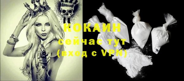 крисы Майский