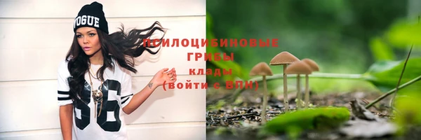 крисы Майский