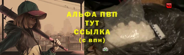 крисы Майский