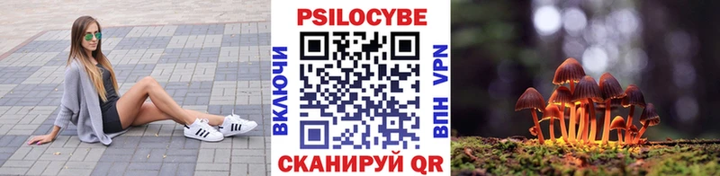 блэк спрут зеркало  наркота  сайты даркнета клад  Псилоцибиновые грибы Magic Shrooms  Гагарин 