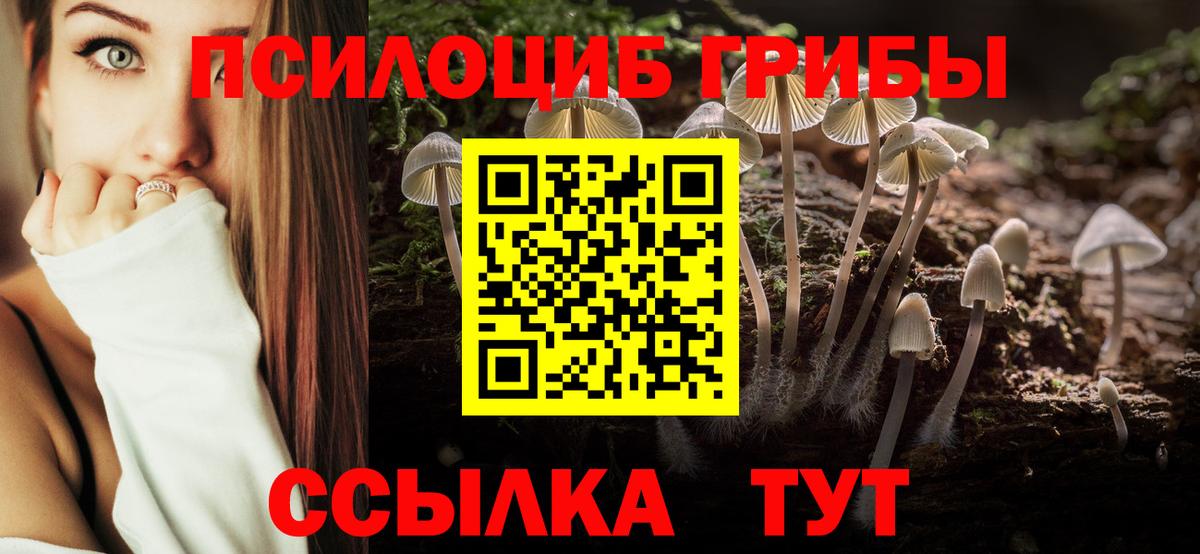 Гагарин  Галлюциногенные грибы мухоморы  Вход с VPN 