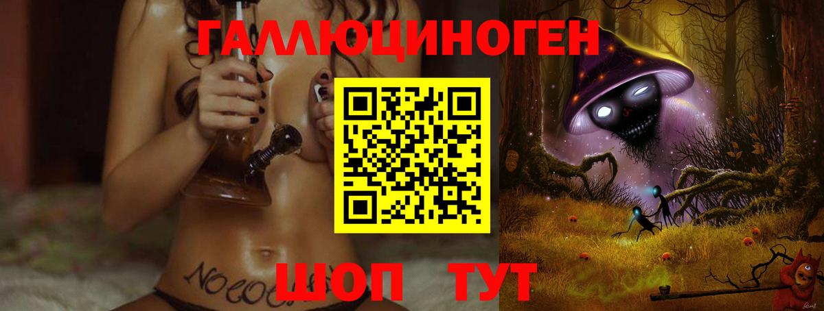 Псилоцибиновые грибы Cubensis Гагарин